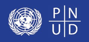 pnud_Mesa de trabajo 1